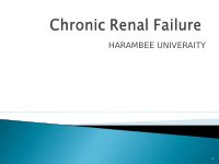ppt renal failure.ppt